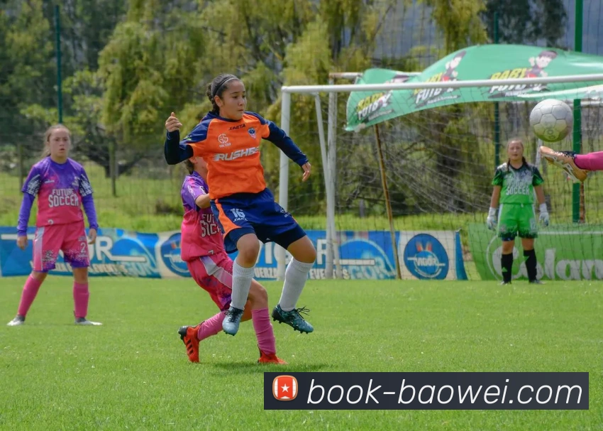 App Interface Preview